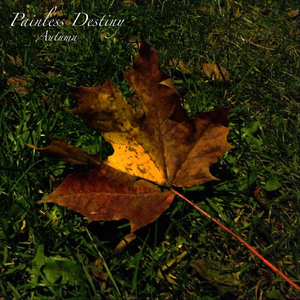 宋雨琦跳南半球视频原版播放
